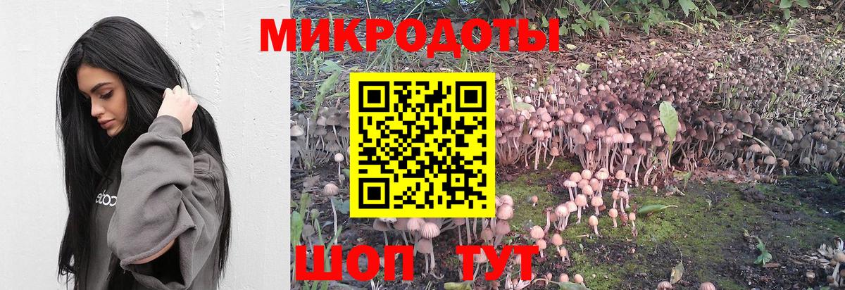 Галлюциногенные грибы Psilocybine cubensis Кизляр