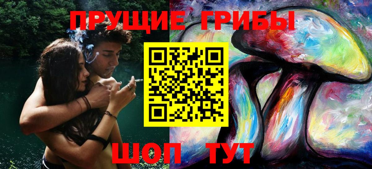 Псилоцибиновые грибы GOLDEN TEACHER  Псилоцибиновые грибы мицелий  Вход с VPN  закладки  Кизляр 